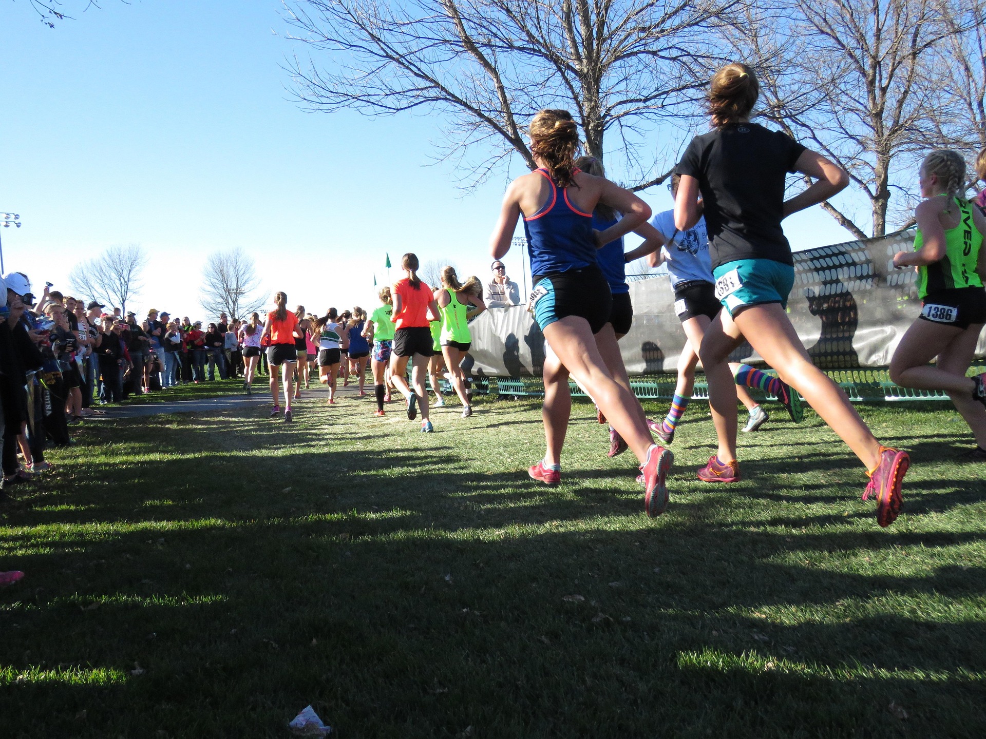 Runners competing in a cross-country race